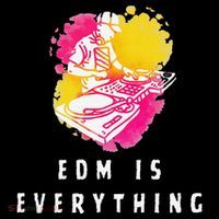 Edm Is Everything Electronic Dance Music Humor Hoodie thumb 7
