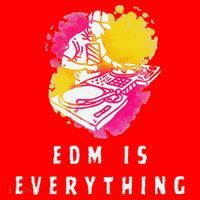 Edm Is Everything Electronic Dance Music Humor Santa Hat thumb 1
