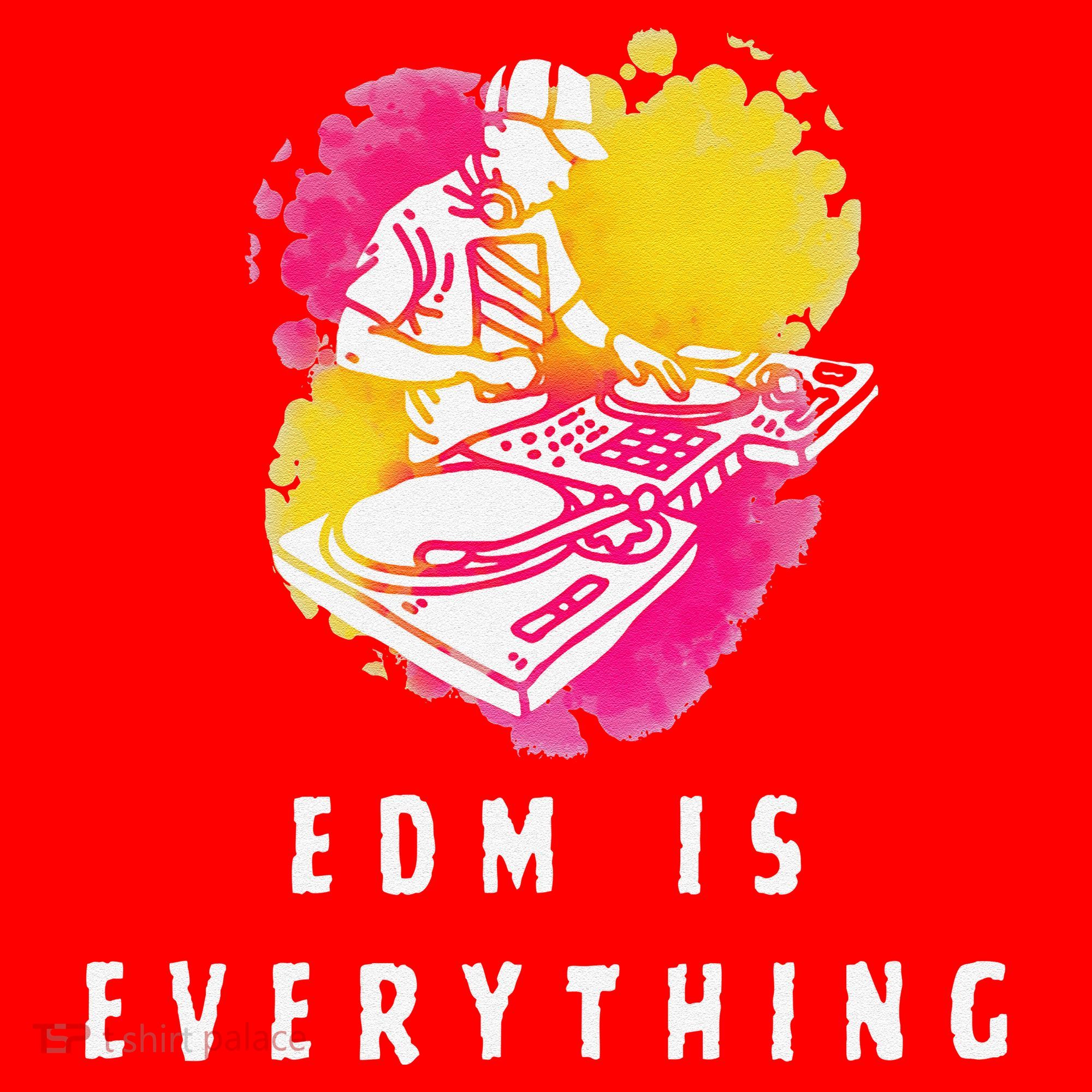 Edm Is Everything Electronic Dance Music Humor Santa Hat