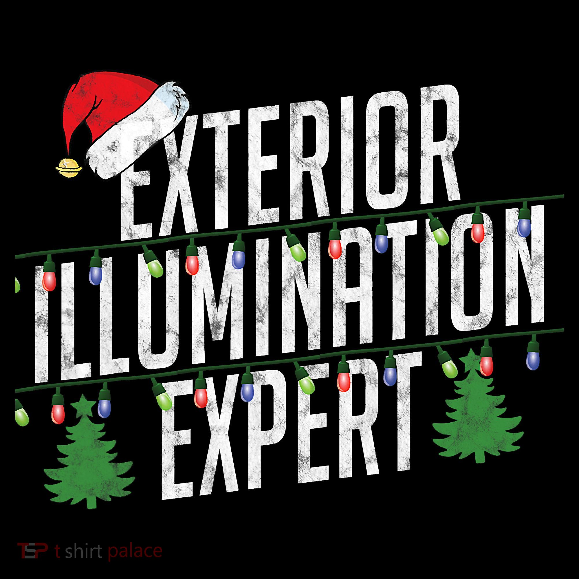 Exterior Illumination Expert Christmas Light Decorator T-Shirt