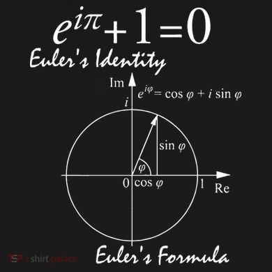Euler's Identity Euler's Formula Flexfit Unipanel Trucker Cap