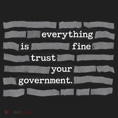 Everything Is Fine Trust Your Government Urban Oversized Heavyweight T-Shirt
