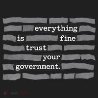 Everything Is Fine Trust Your Government Hat thumb 2