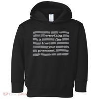 Everything Is Fine Trust Your Government Toddler Hoodie thumb 0