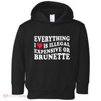 Everything I Love Is Illegal Expensive Or Brunette Toddler Hoodie thumb 0