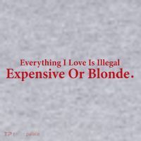 Everything I Love Is Illegal Expensive Or Blonde I Love Joke Women's Sweatshirt thumb 2