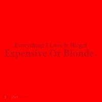 Everything I Love Is Illegal Expensive Or Blonde I Love Joke Santa Hat thumb 1