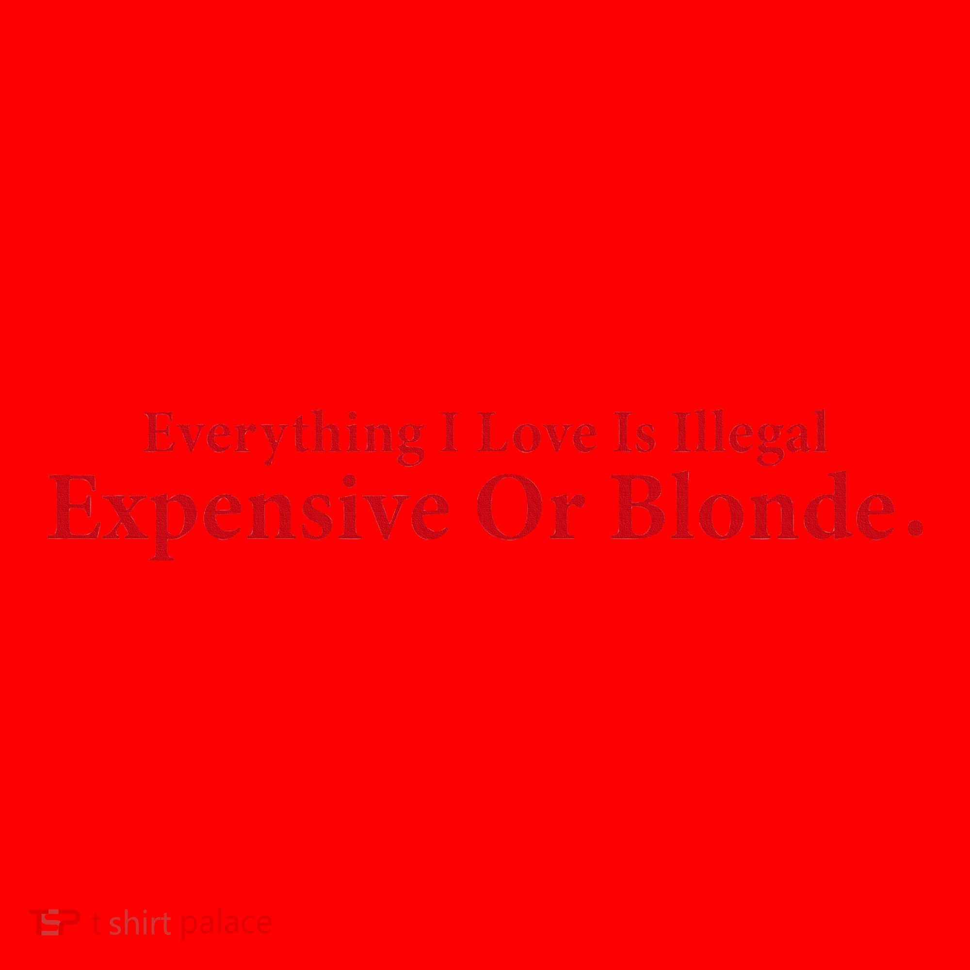 Everything I Love Is Illegal Expensive Or Blonde I Love Joke Santa Hat