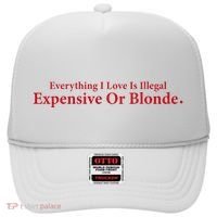 Everything I Love Is Illegal Expensive Or Blonde I Love Joke Hat thumb 0