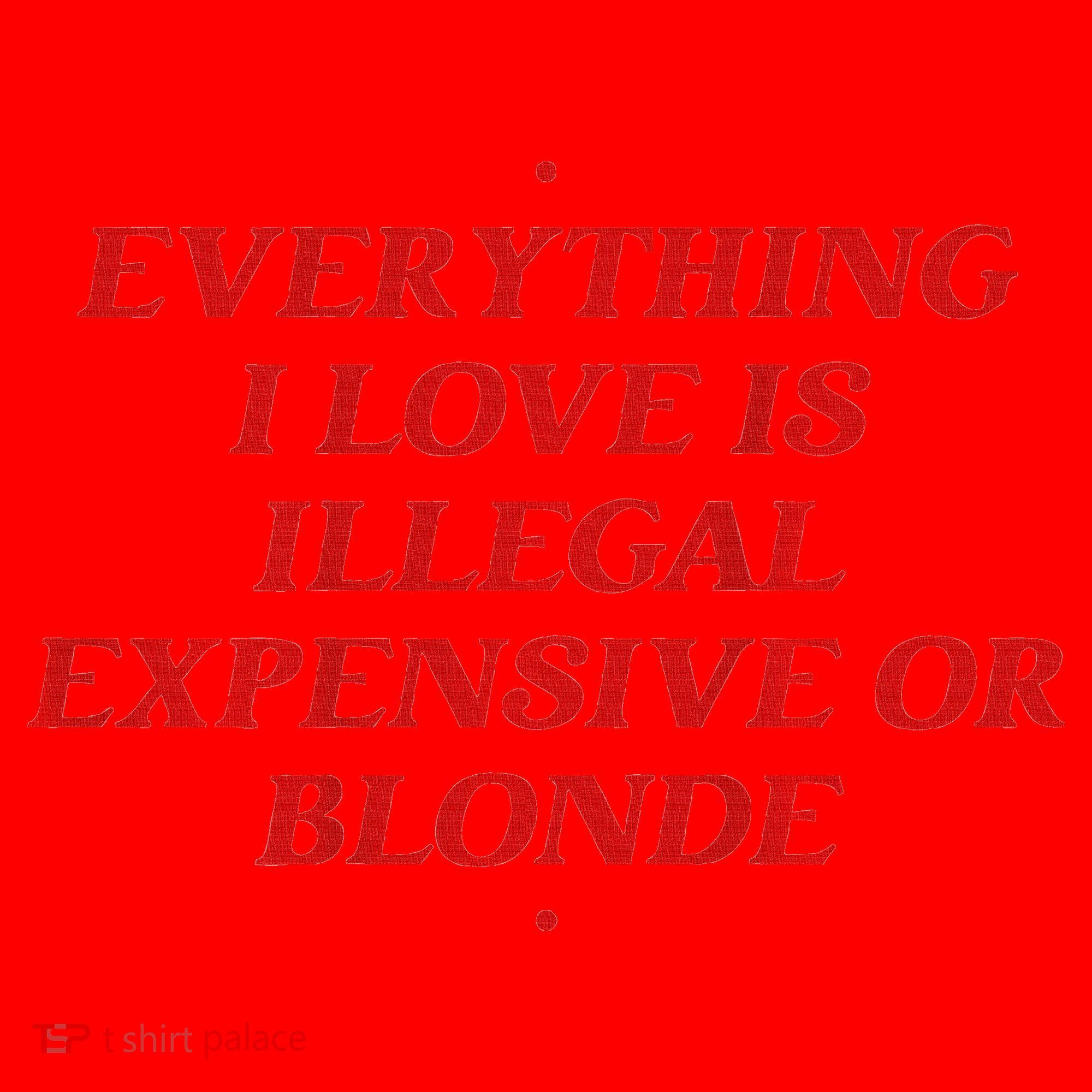 Everything I Love Is Illegal Expensive Or Blonde Santa Hat