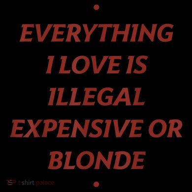 Everything I Love Is Illegal Expensive Or Blonde Kids Colorblock Raglan Jersey