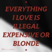 Everything I Love Is Illegal Expensive Or Blonde Toddler Fine Jersey T-Shirt thumb 2