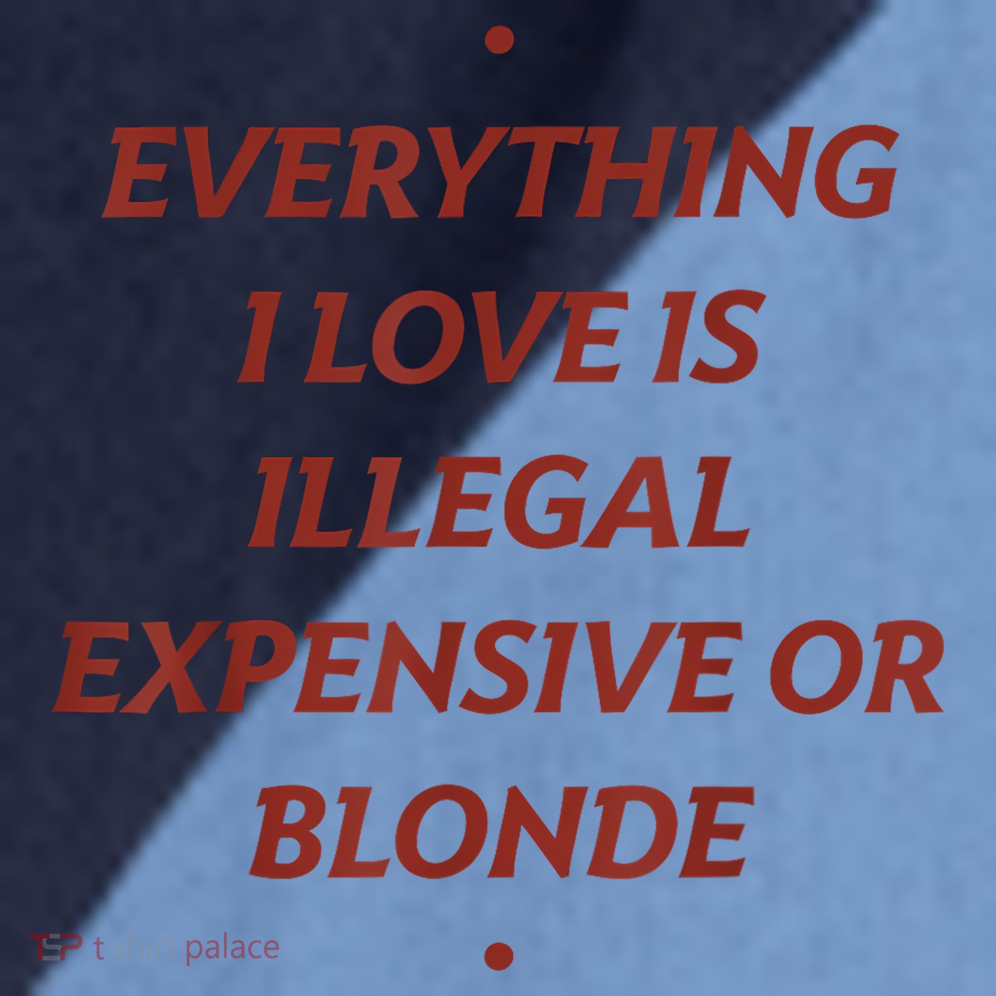 Everything I Love Is Illegal Expensive Or Blonde Raglan Baseball Sleeve Shirt