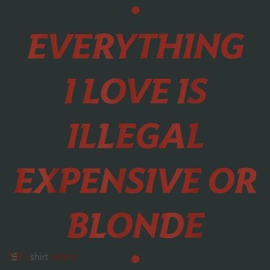 Everything I Love Is Illegal Expensive Or Blonde Infant Baby Jersey Bodysuit