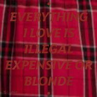 Everything I Love Is Illegal Expensive Or Blonde Men's Flannel Plaid Pajama Pants thumb 2