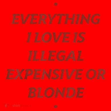 Everything I Love Is Illegal Expensive Or Blonde Santa Hat