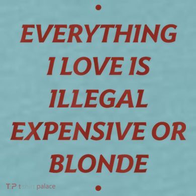 Everything I Love Is Illegal Expensive Or Blonde Sueded Cloud Jersey T-Shirt