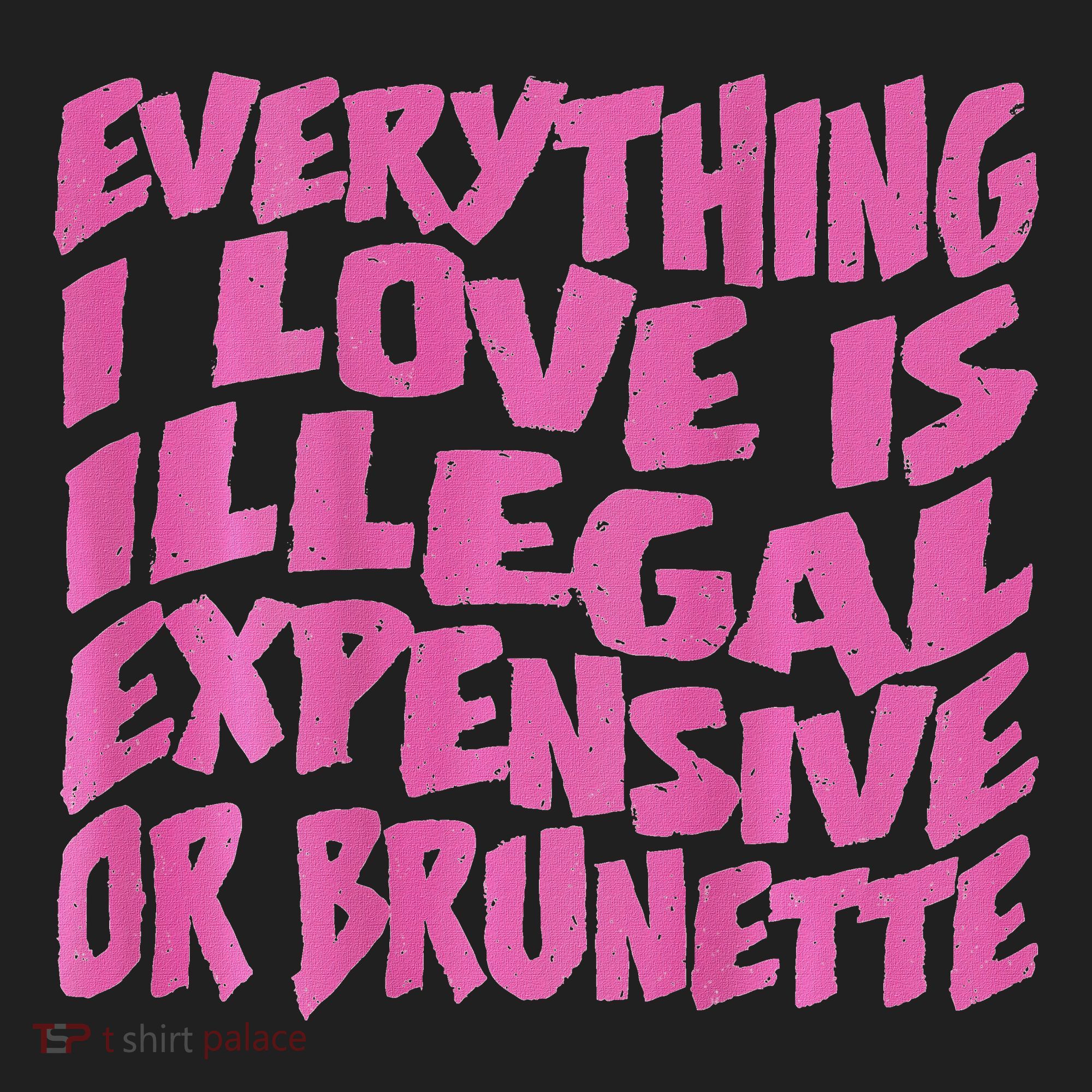 Everything I Love Is Illegal Expensive Or Brunette Hat