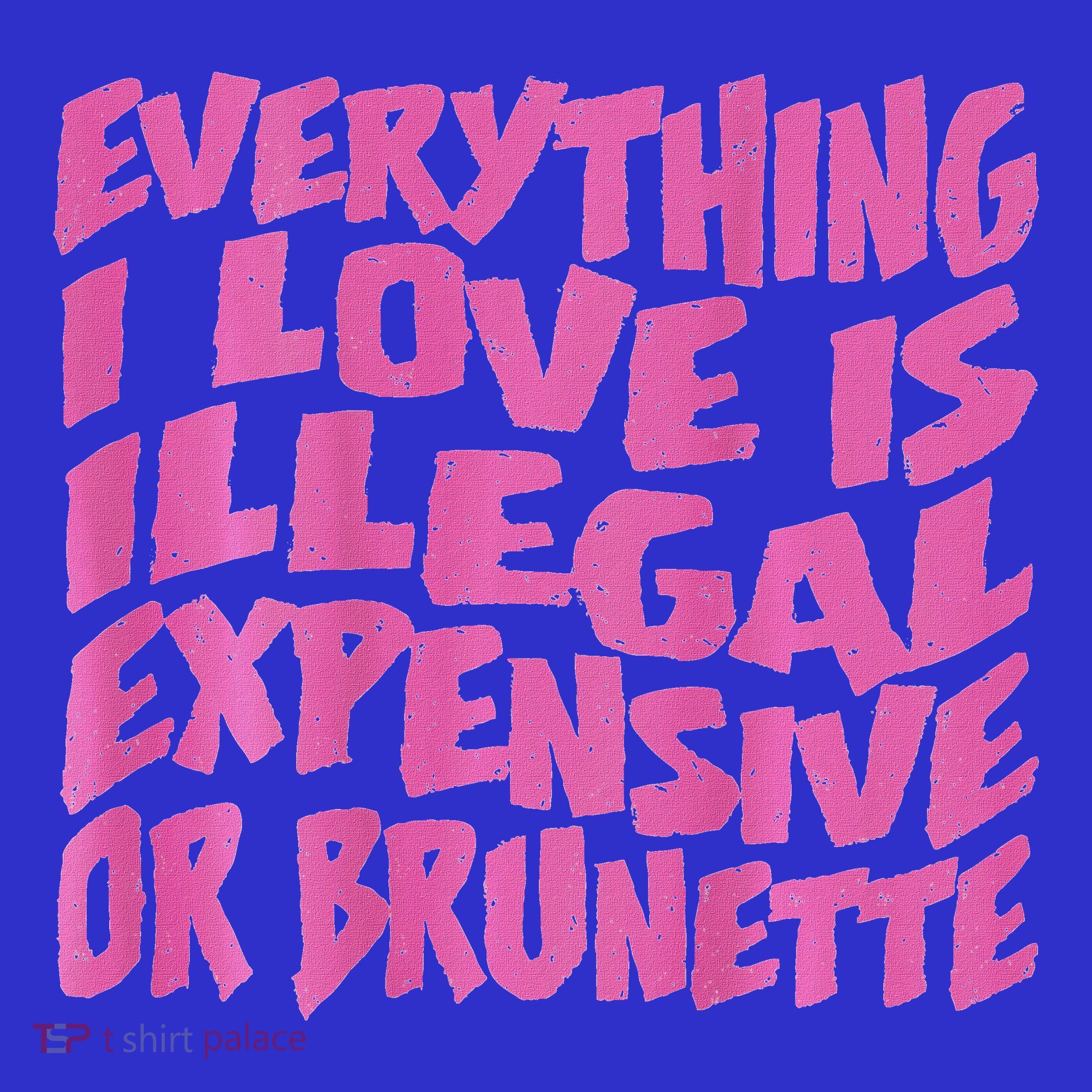 Everything I Love Is Illegal Expensive Or Brunette Women's Long Sleeve Shirt