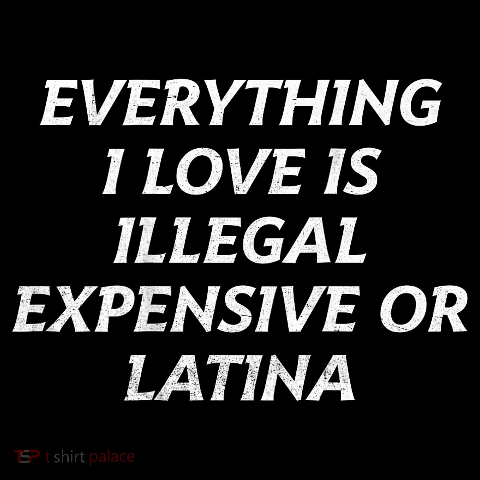 Everything I Love Is Illegal Expensive Or Latina T-Shirt