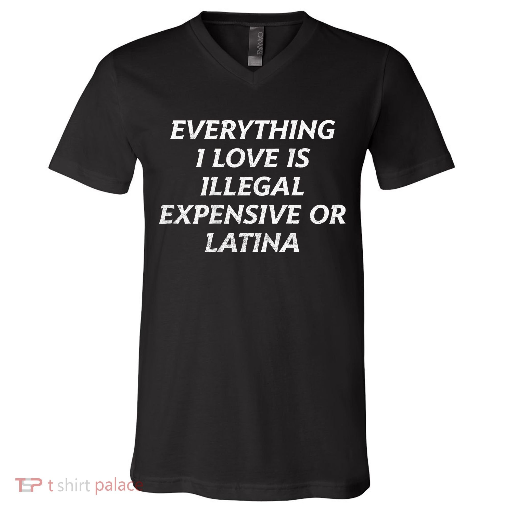 Everything I Love Is Illegal Expensive Or Latina V-Neck T-Shirt