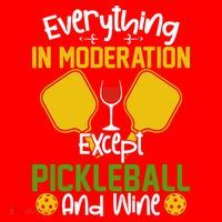 Everything In Moderation Except Pickleball And Wine Santa Hat thumb 1