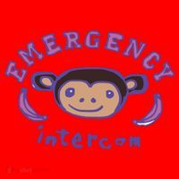 Emergency Intercom Monkey Santa Hat thumb 1