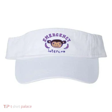 Visor