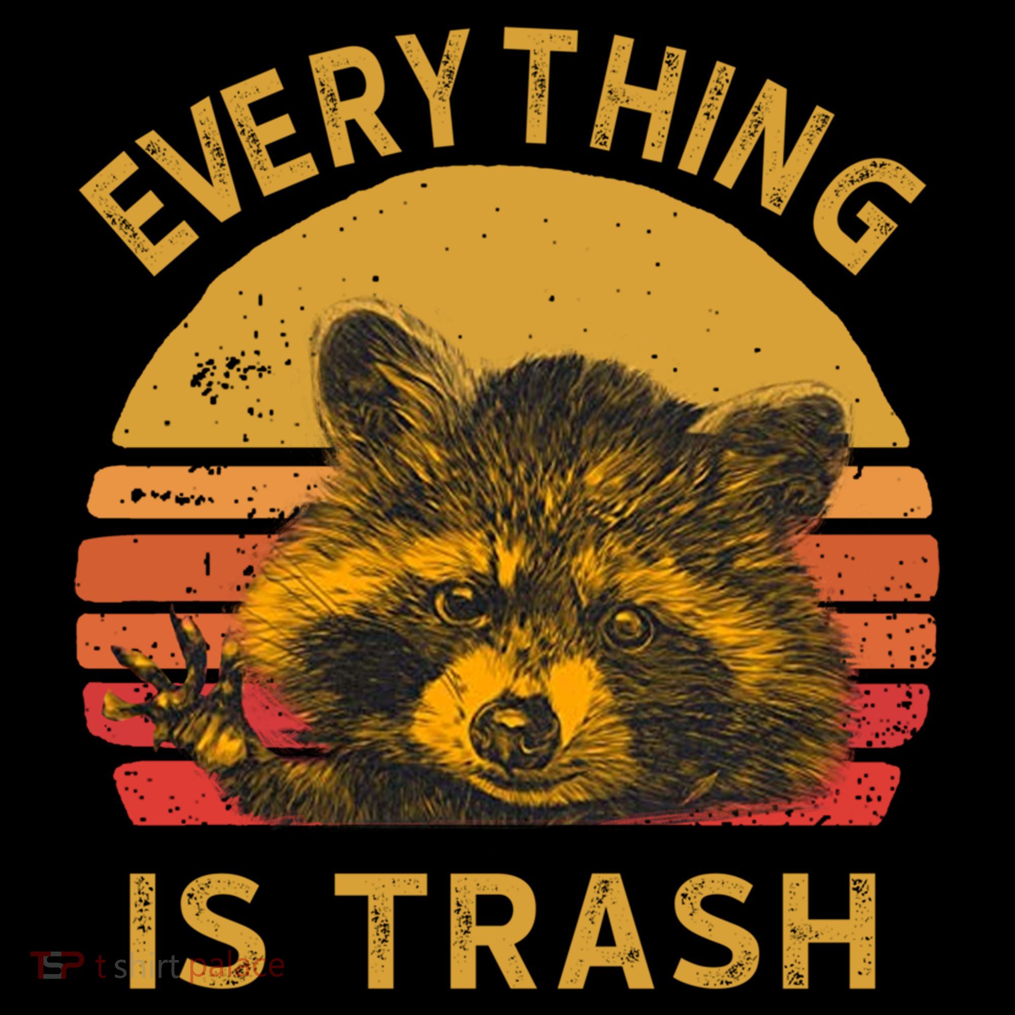 Everything Is Trash Fun Raccoon Picture Camping Hiking Gift Women's Hoodie