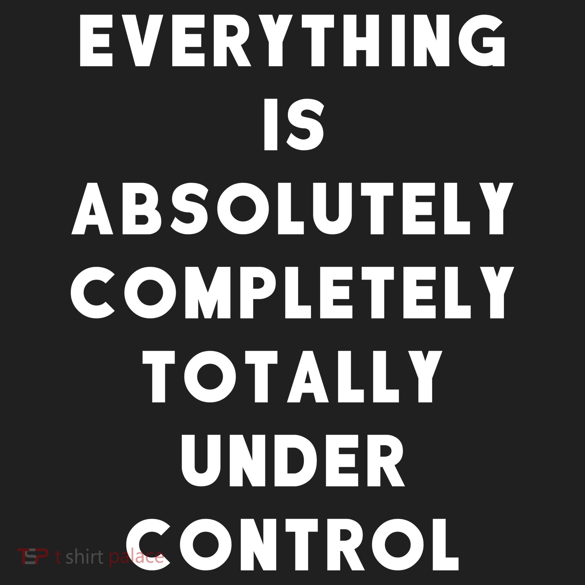 Everything Is Under Control Funny Sayings Women's Sweatshirt