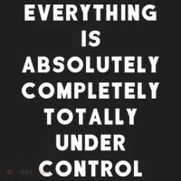 Everything Is Under Control Funny Sayings Tumbler thumb 3