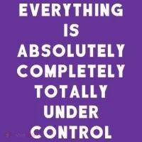 Everything Is Under Control Funny Sayings Toddler Hoodie thumb 2
