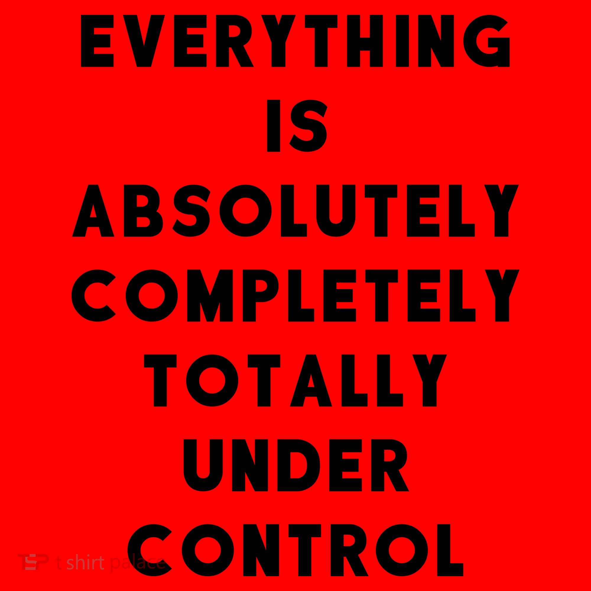Everything Is Under Control Funny Sayings Santa Hat