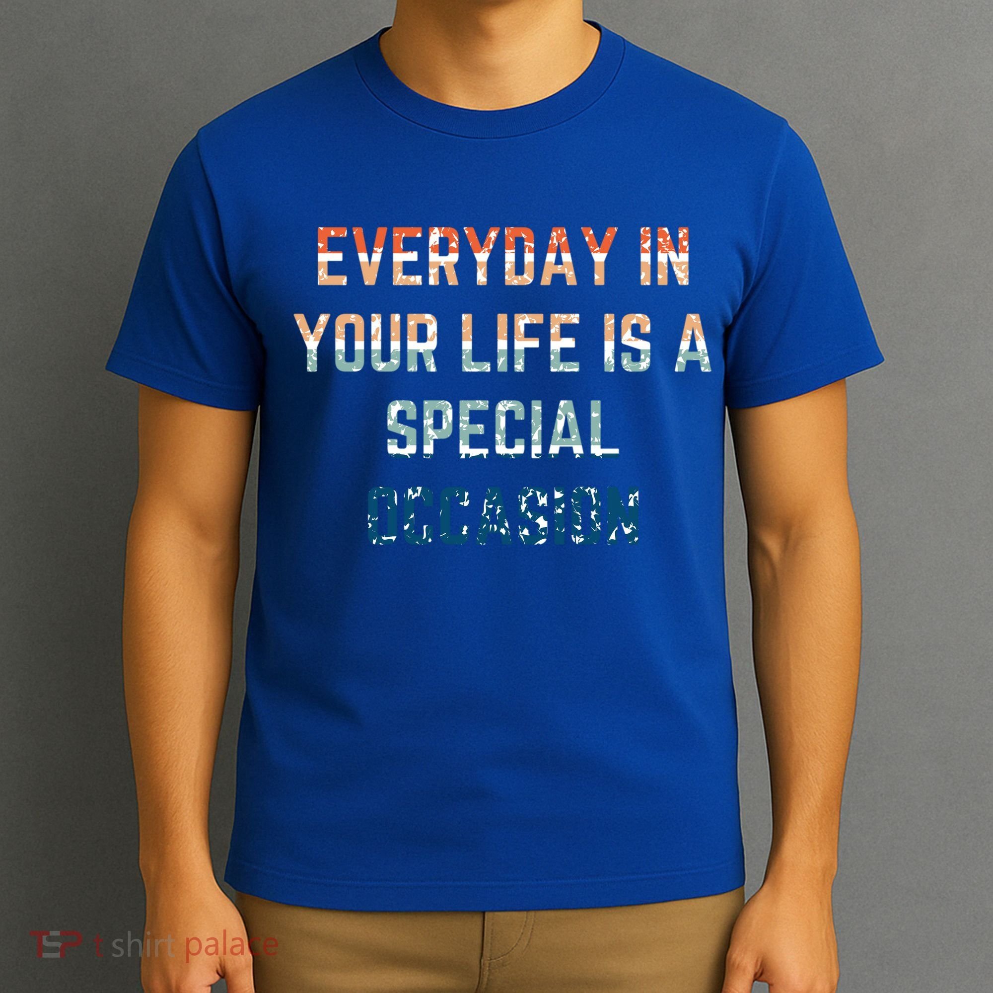 Everyday In Your Life Is A Special Occasion Cute Gift T-Shirt