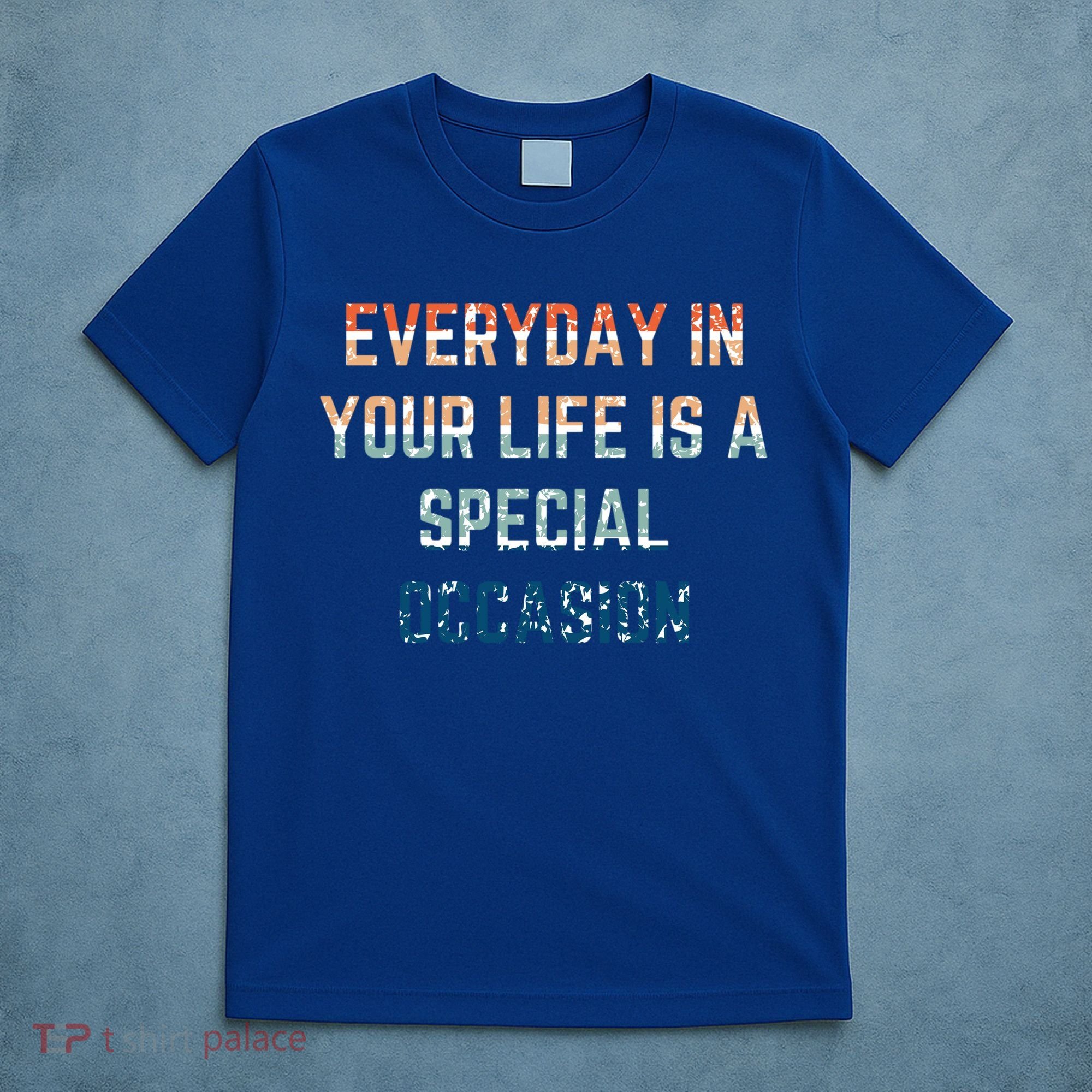 Everyday In Your Life Is A Special Occasion Cute Gift T-Shirt