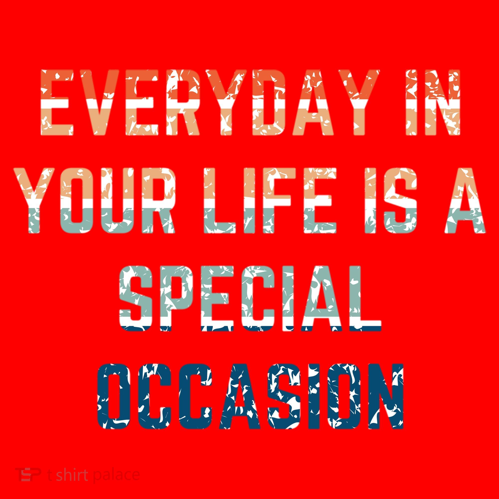 Everyday In Your Life Is A Special Occasion Cute Gift Santa Hat