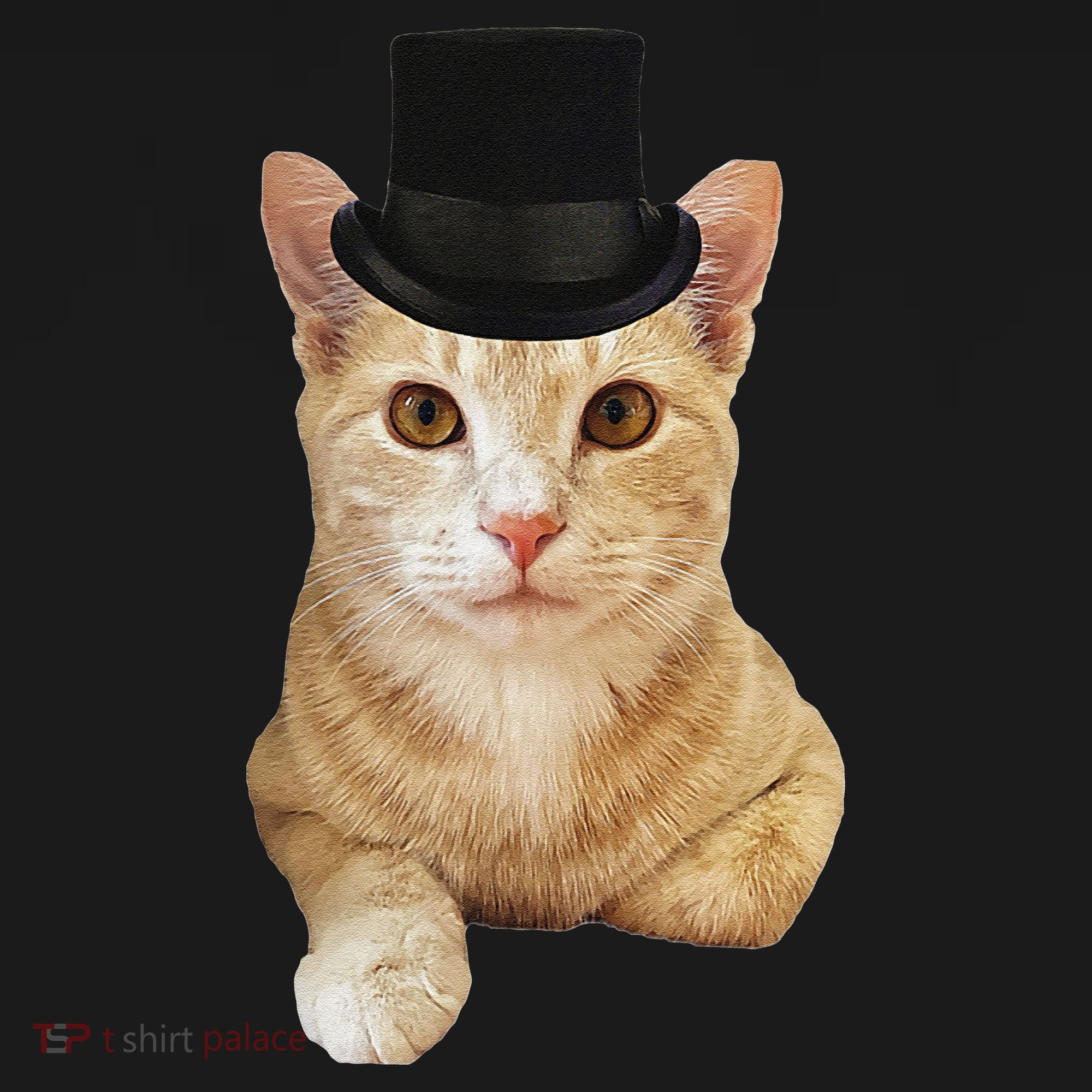 Everyone Loves A Dapper Orange Tabby Cat In A Top Hat Women's Hoodie