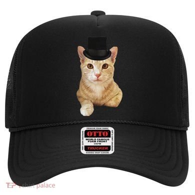 Everyone Loves A Dapper Orange Tabby Cat In A Top Hat Hat