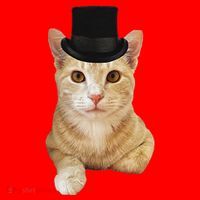 Everyone Loves A Dapper Orange Tabby Cat In A Top Hat Santa Hat thumb 1