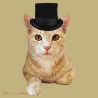 Everyone Loves A Dapper Orange Tabby Cat In A Top Hat Hoodie thumb 7