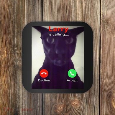 Evil Larry Cat Meme Cat Lover Cat Mom Cat Dad S Coaster