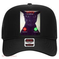 Evil Larry Cat Meme Cat Lover Cat Mom Cat Dad S Hat thumb 0