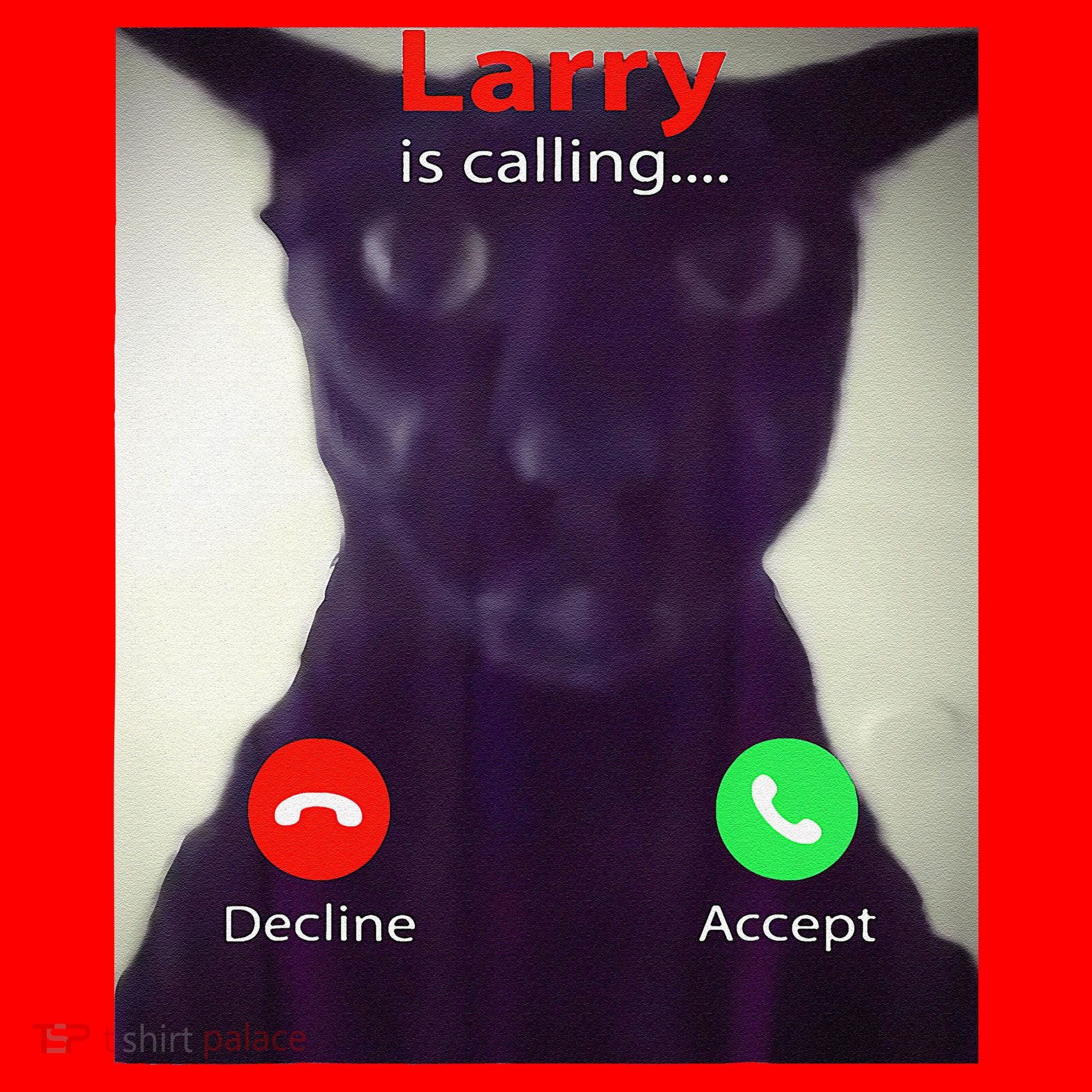 Evil Larry Cat Meme Cat Lover Cat Mom Cat Dad S Santa Hat