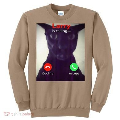 Evil Larry Cat Meme Cat Lover Cat Mom Cat Dad S Sweatshirt
