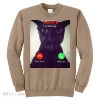 Evil Larry Cat Meme Cat Lover Cat Mom Cat Dad S Sweatshirt thumb 0