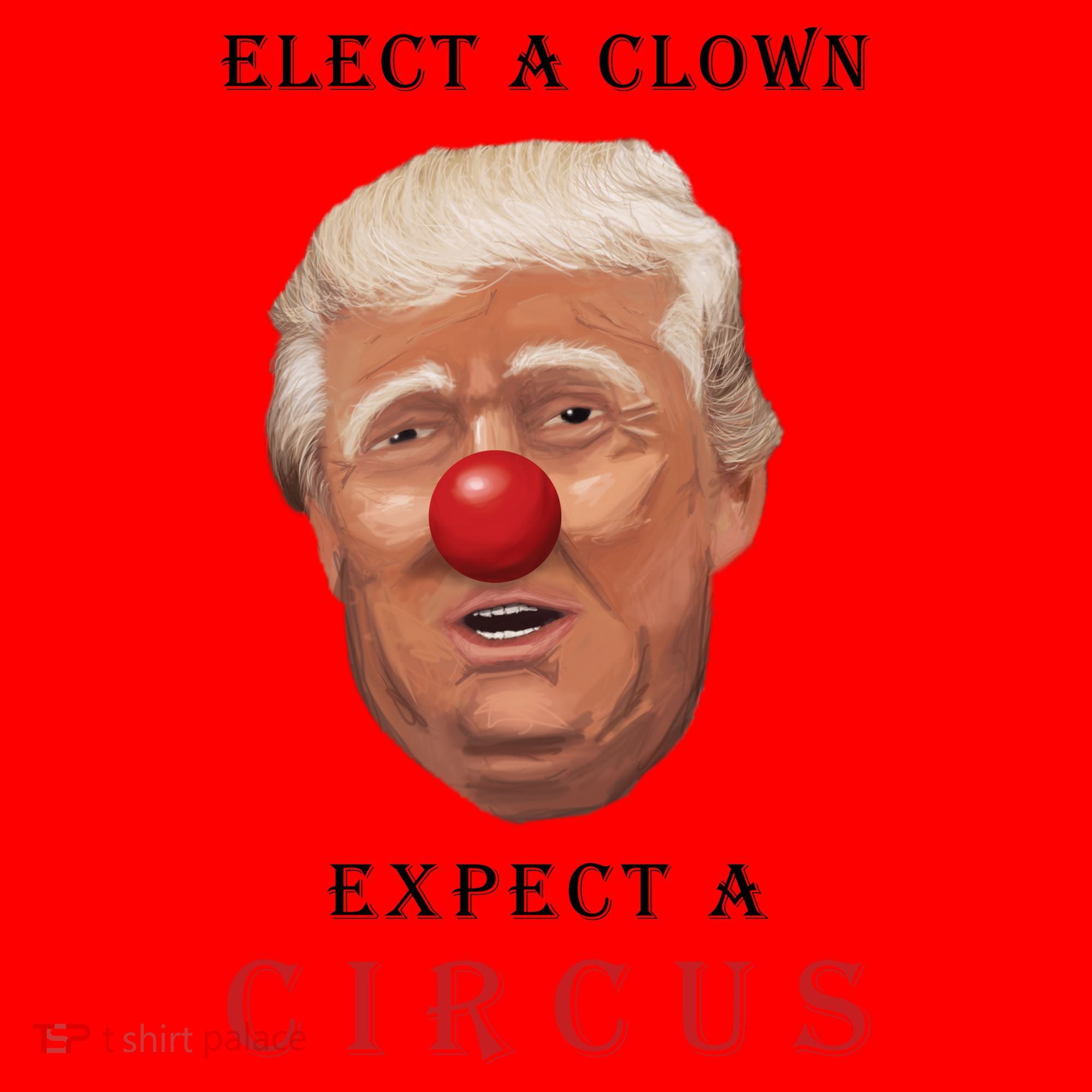 Elect a Clown Expect a Circus Santa Hat