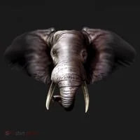 Elephant Tusks Wildlife Button thumb 1