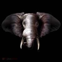 Elephant Tusks Wildlife Ornament thumb 1