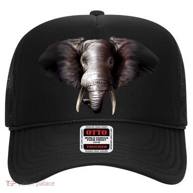 Elephant Tusks Wildlife Hat