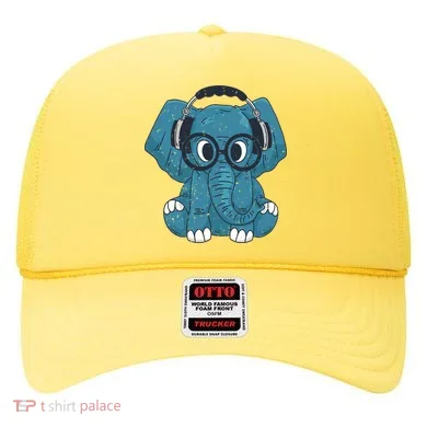 Elephant With Glasses  Hat